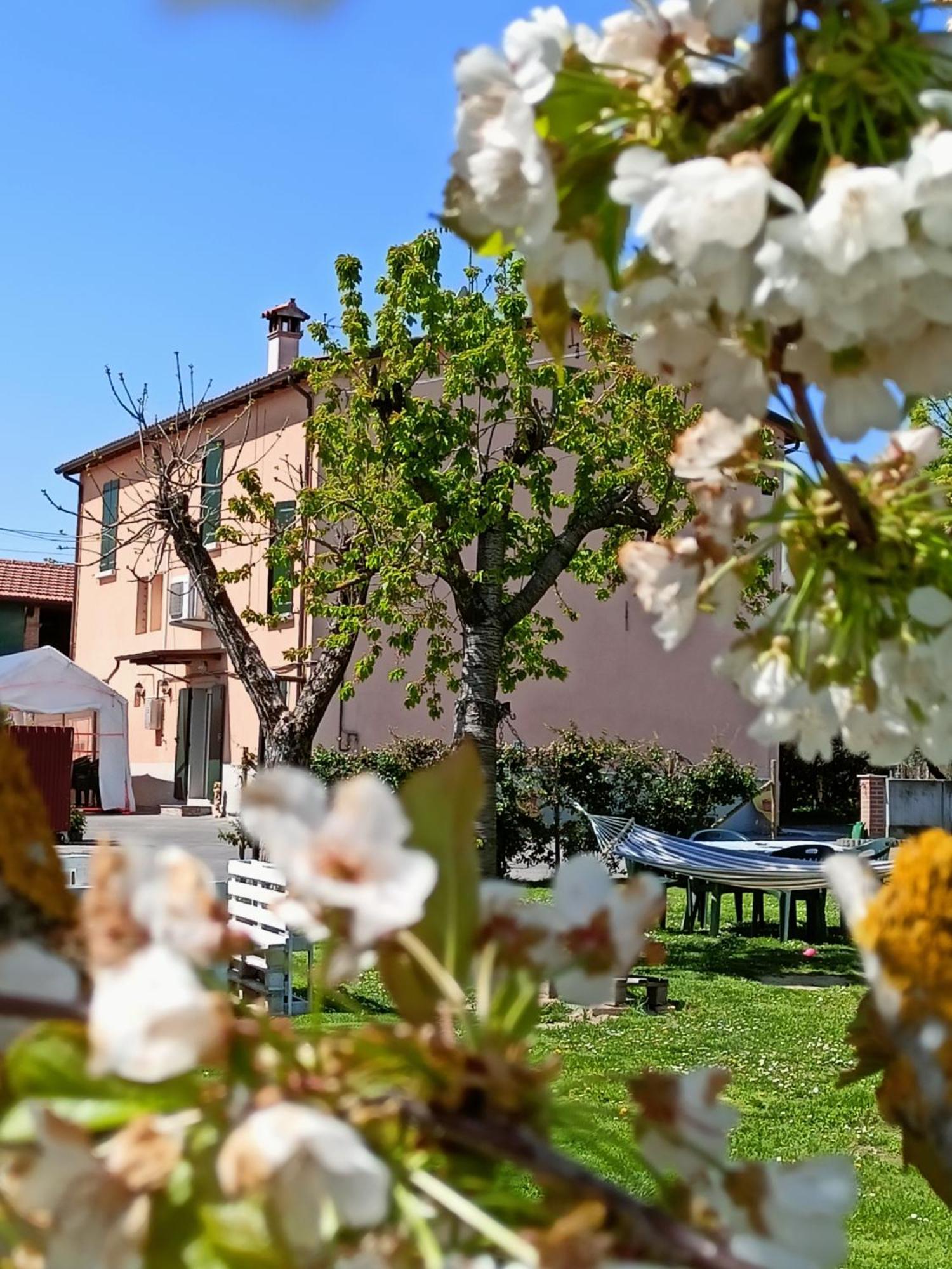 Bed and Breakfast La Casa Della Nonna Брізіґелла Екстер'єр фото